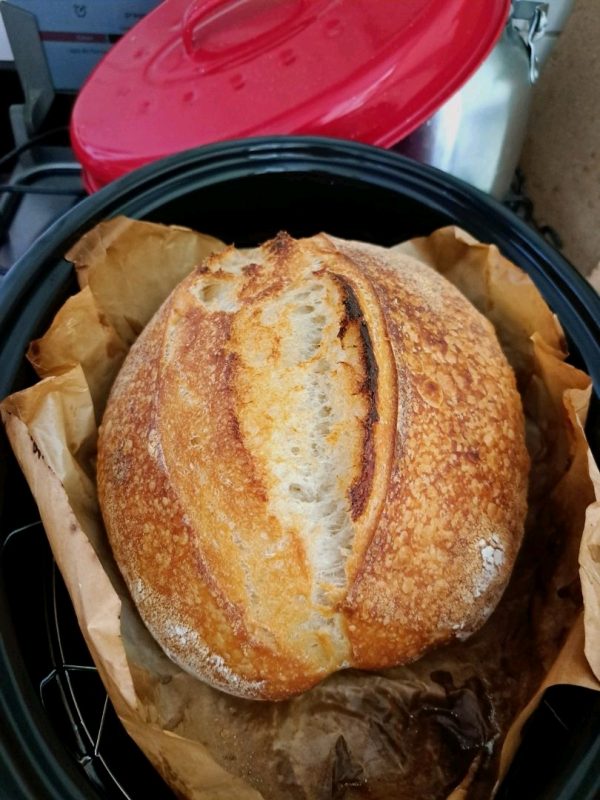 PANELA CAÇAROLA ASSADEIRA DE PÃO COCOTTE SAVEURS 7 LITROS TC-0007 TUTTI COOK - Imagem 2