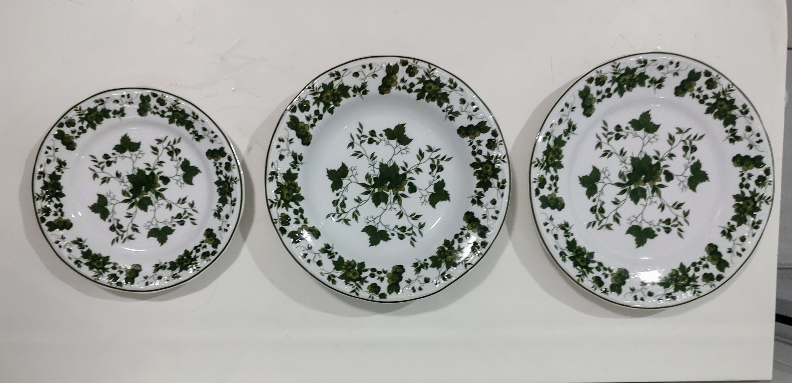 CONJUNTO DE 18 PRATOS COM DECORAÇÃO HERA LINHA REAL PORCELANA SCHMIDT 0040